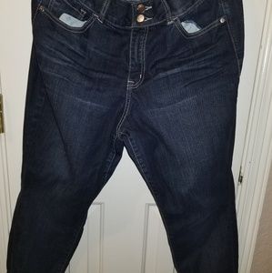 Lane Bryant Jean's 14 short
